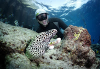 Fot. Václav Krpelík - Freediving Maldives - PJ Freediving