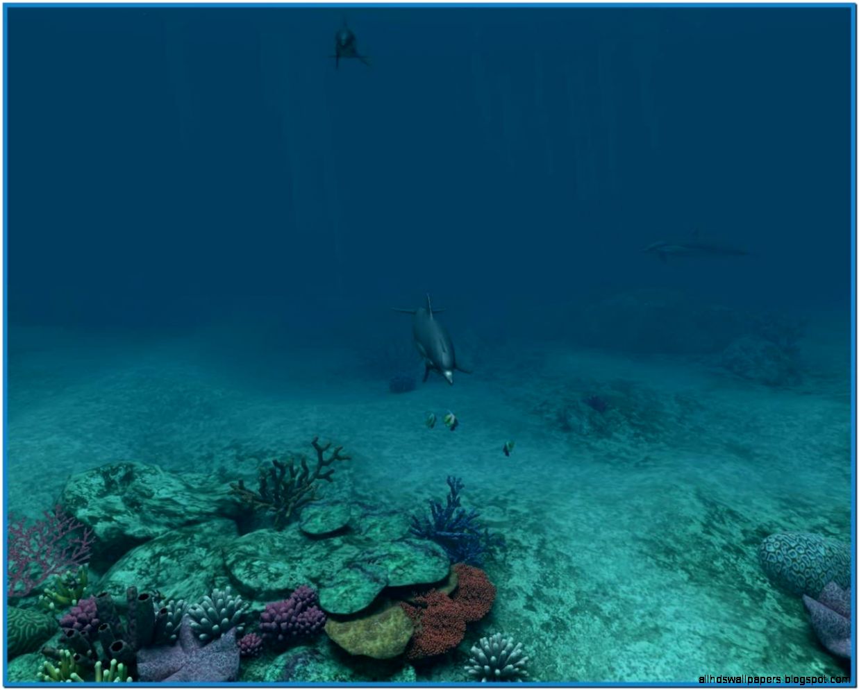 Free 3D Animated Dolphin Screensavers