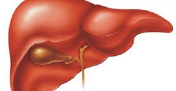 10 نصائح لتنشيط الكبد وحمايته من الأمراض والفيروسات