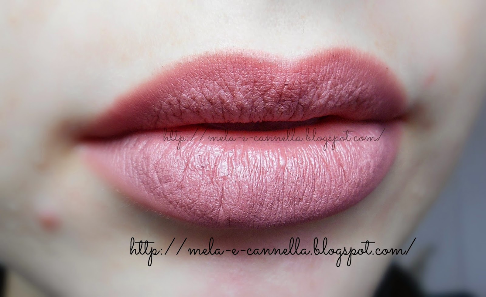 melaecannella Farmasi lip pencil 203