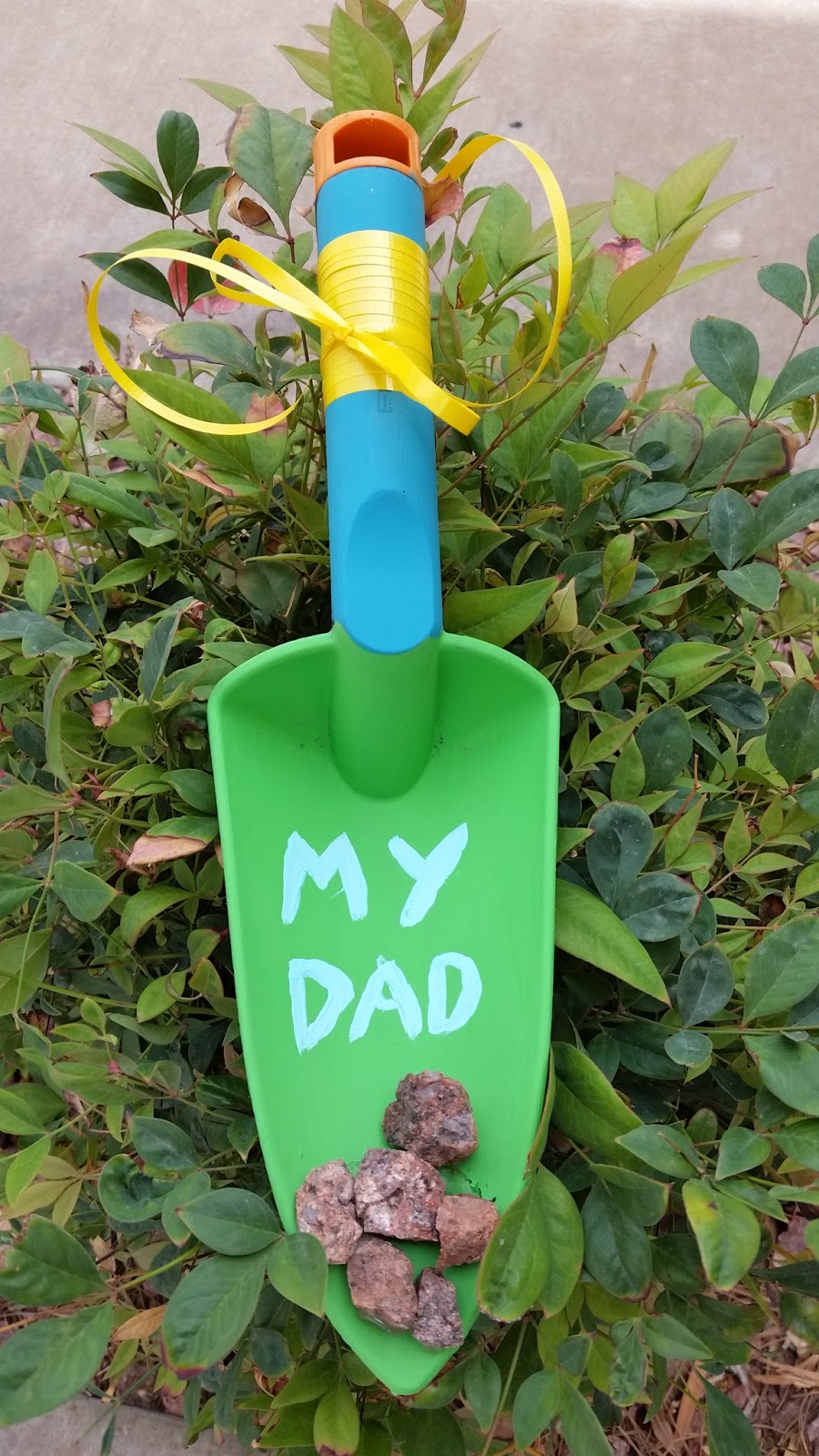 Star Nursery Blog Cutest Father's Day Garden Gift!