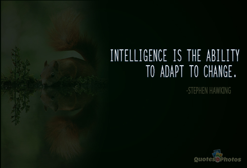Download Intelligence Is The Ability To Adapt To Change PNG