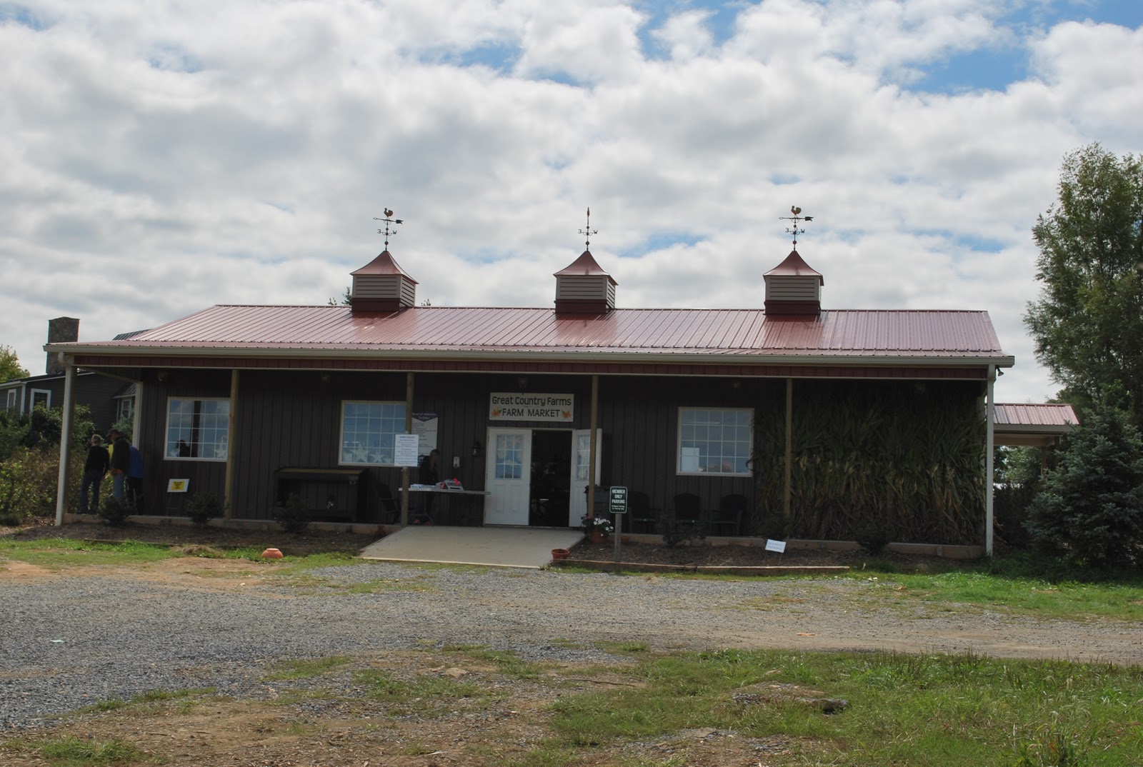 The Next Best Thing..... Great Country Farms in Bluemont, VA!
