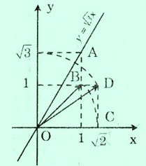 Đồ thị hàm số y = √3 x  