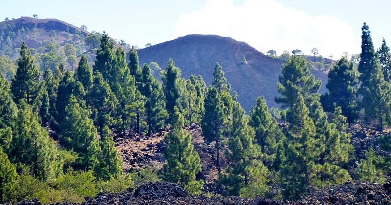 APRENDER A PROGRAMAR CON PYTHON: CONJUNTOS (SET Y FROZENSET)