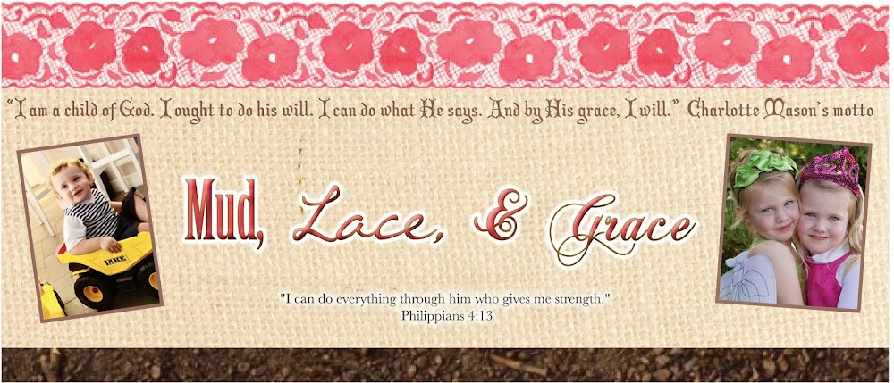 Mud Lace And Grace