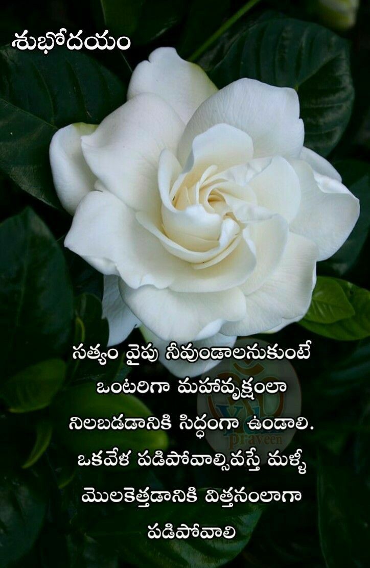 good morning images in telugu