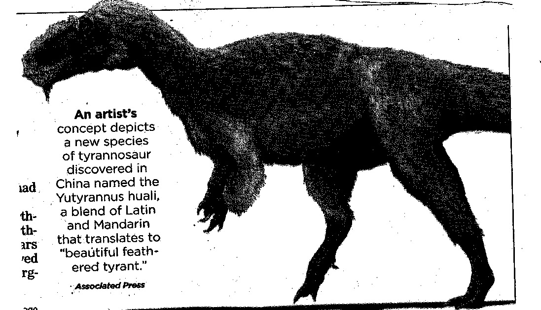 fuzzy t rex