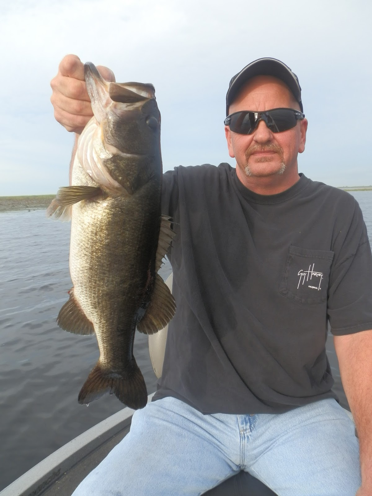 Summertime Shiner Fishing Lake Okeechobee Bass Fishing Fishing Guides