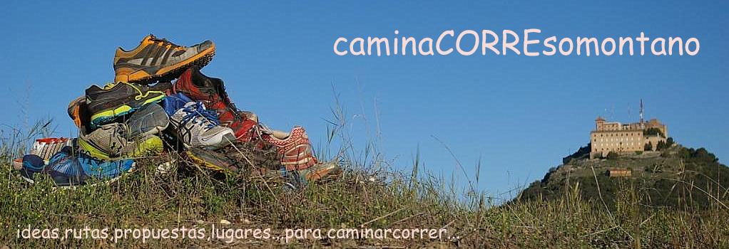 caminacorresomontano