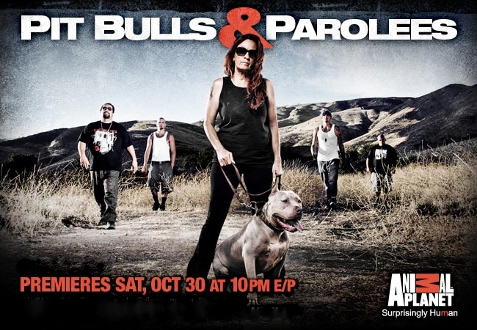 pitbulls and parolees cast. pitbulls and parolees cast. Pitbulls+and+parolees; Pitbulls+and+parolees