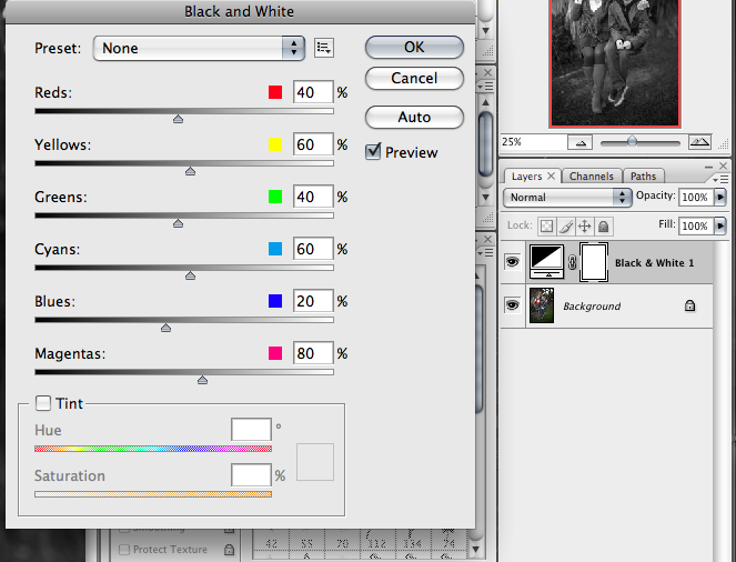 DASO Photo Black and White Filter Comparison