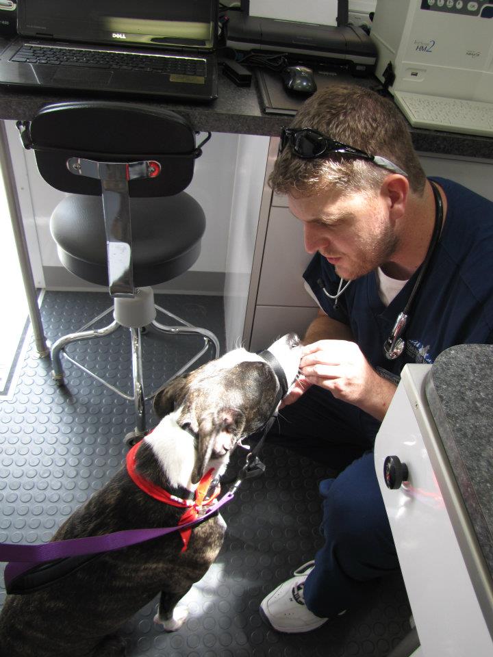 Roanoke Valley Mobile Vet Why use a mobile Vet?
