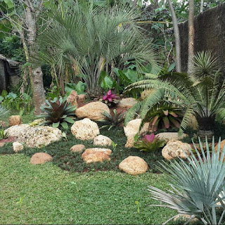 Jasa Tukang Taman minimalis murah,  Taman gaya Bali,  Taman kering, Taman halaman depan Taman rumah halaman belakang Taman pinggir kolam renang