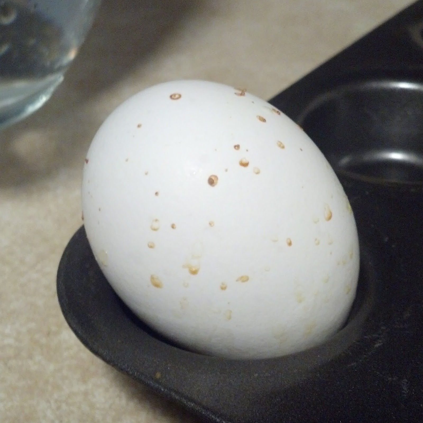 An Onion Exposed: "Hard Boiled" Eggs (In the oven!)