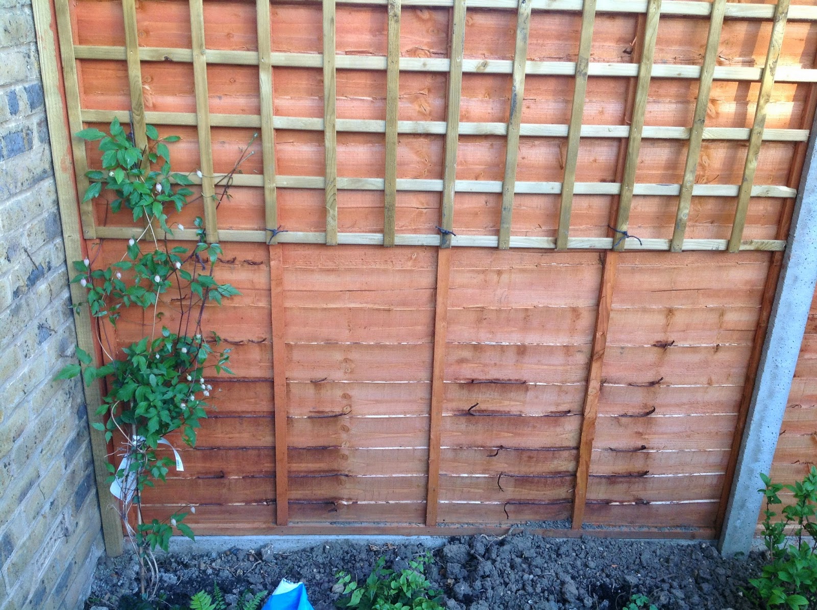 Making something out of nothing. How to hide an ugly fence... quite