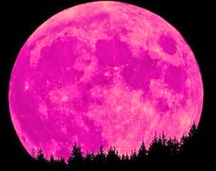 Musings From The Marsh April 2017 The Following Excerpt Is From Farmer S Almanac Full Pink Moon