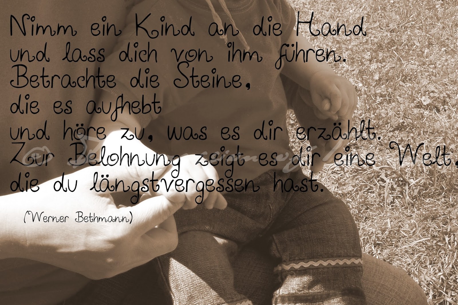Lucciola Spruch des Tages 03.02.15
