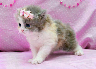 Photo-Facebook-2017%2B%252824%2529