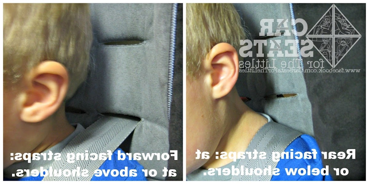 Car Seat Harness Straps