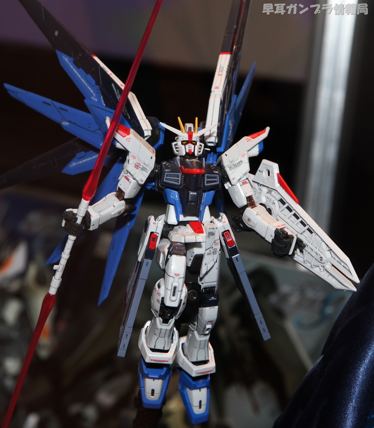 GUNDAM REAL GRADE (RG) 1/144 ZGMFX10A Freedom Gundam!