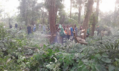2AAA Photos: Ogoni youths destroy marijuana smoking joints in their community