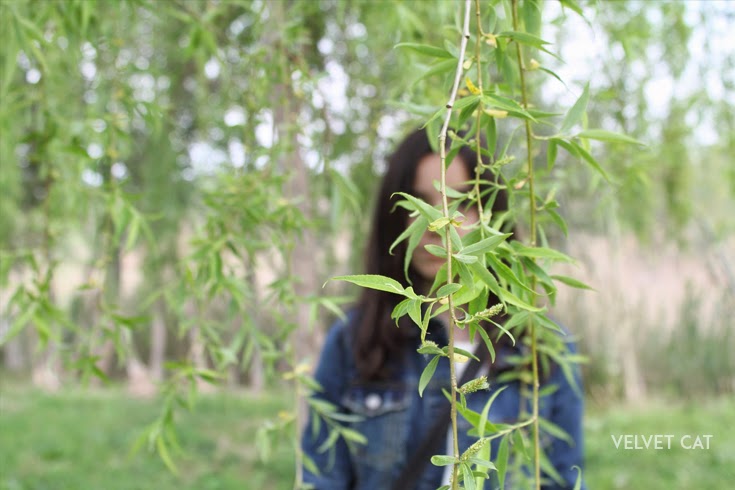 Hoy compartimos verde fotografía