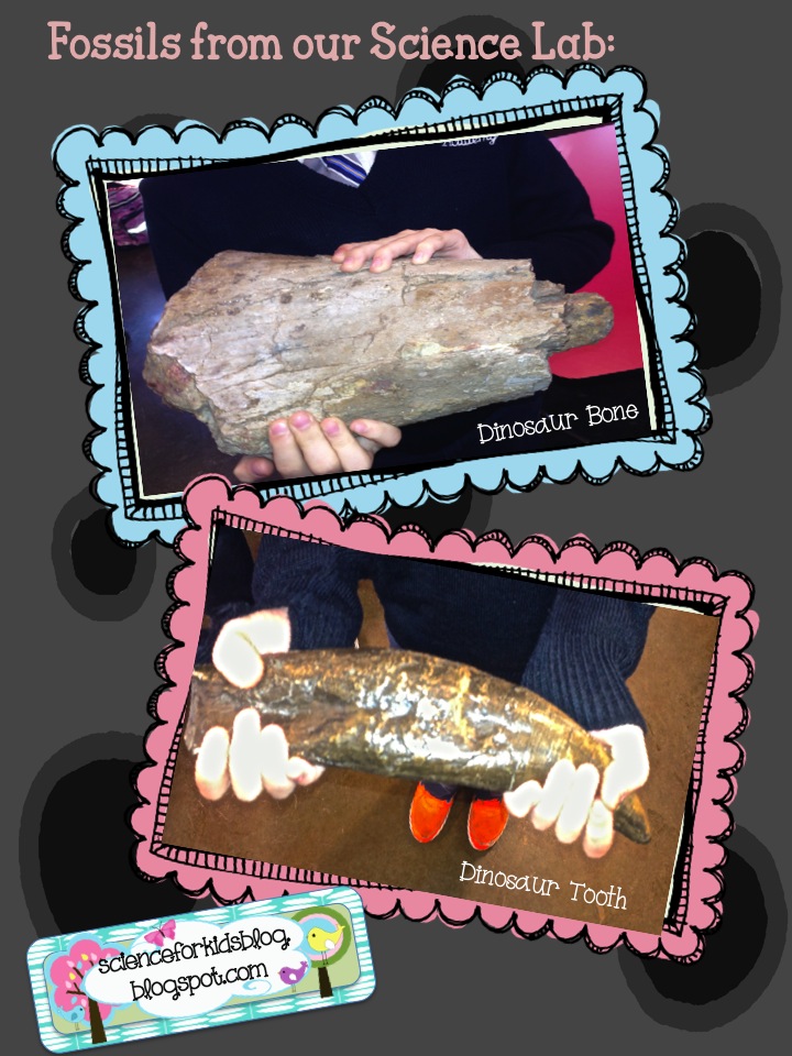 Mother and Child Early Signs of Pregnancy to Child Care Dinosaurs