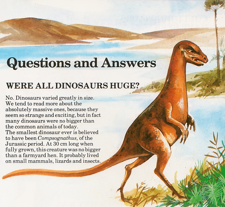 tell me all about dinosaurs