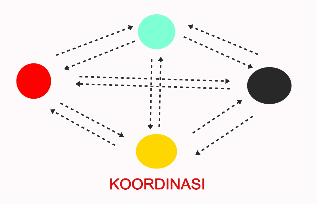 Nefi Fitriana Teori Koordinasi