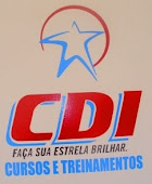 CDI - Cursos Profissionalizantes