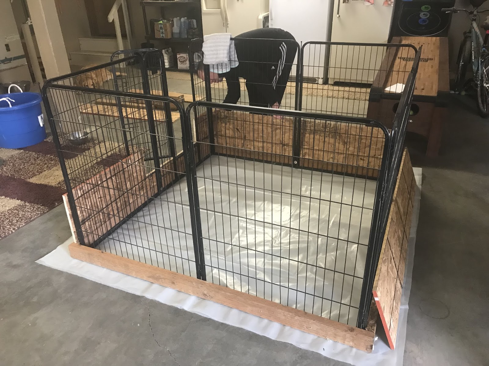 Family AKC Golden Retrievers 4 weeks, 1 day! New pen, new food and catchup pics!