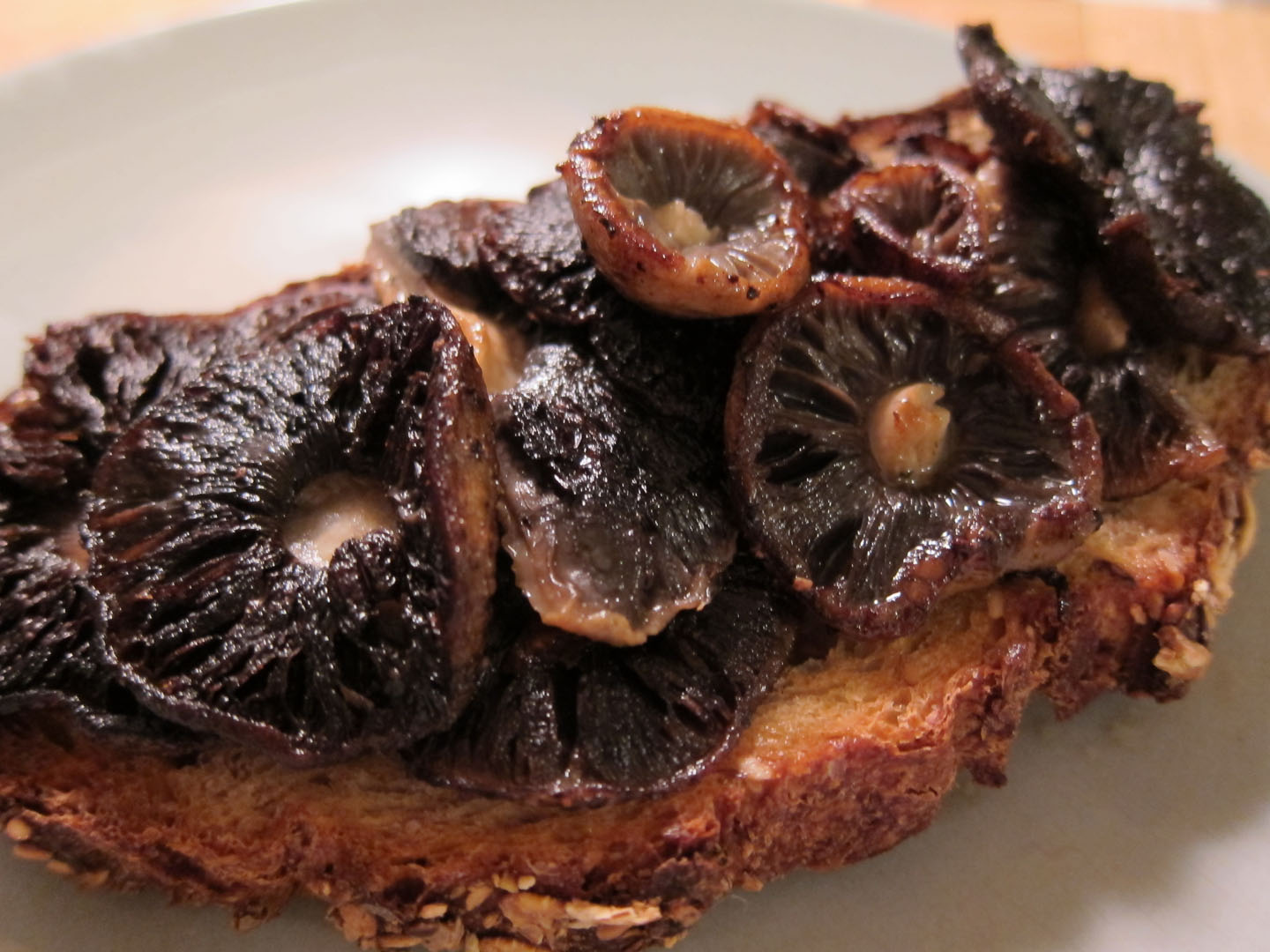 66 Square Feet (Plus): Mushrooms on toast