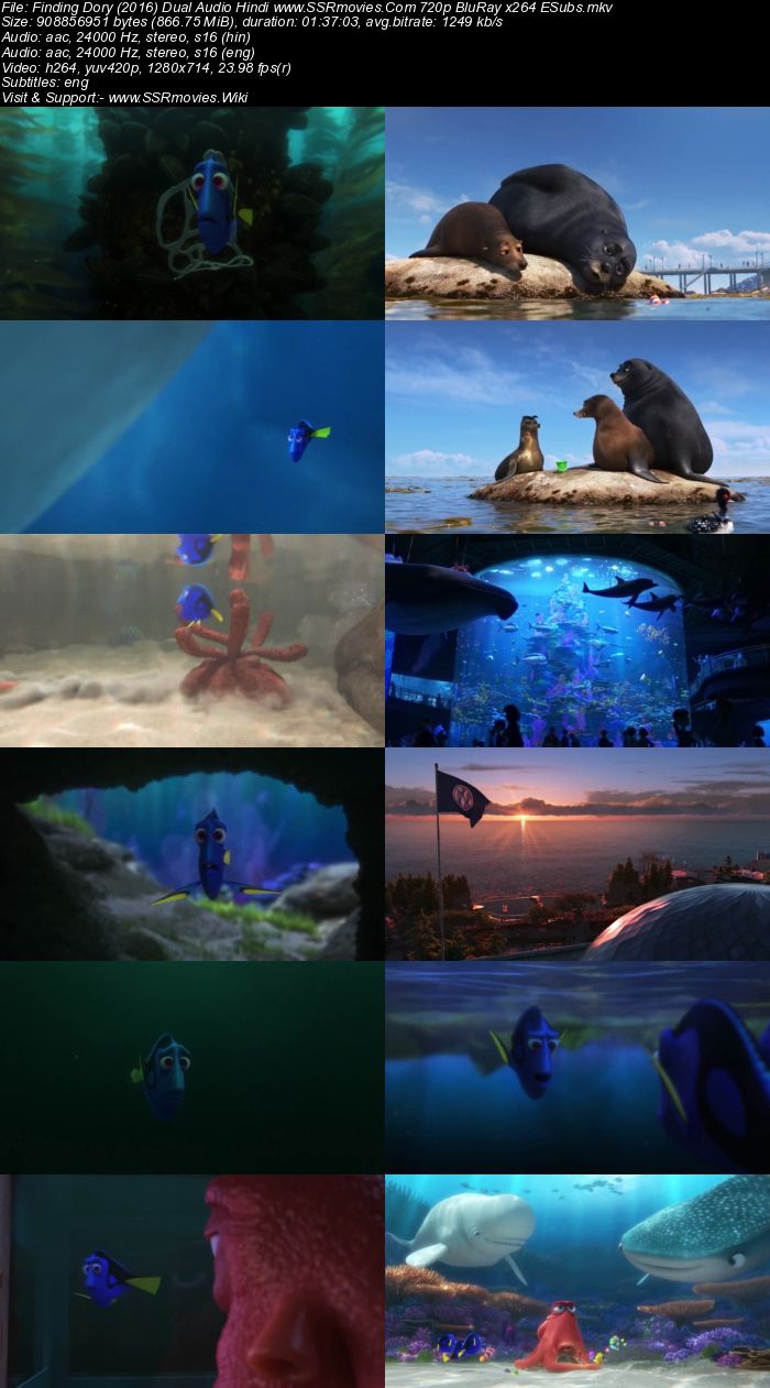Finding Dory (2016) Dual Audio Hindi 480p BluRay x264 300MB ESubs Movie Download