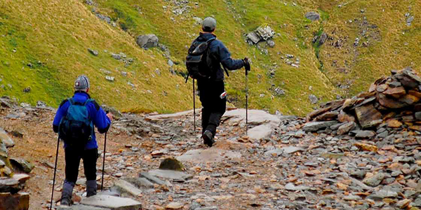 best nordic walking sticks 2018