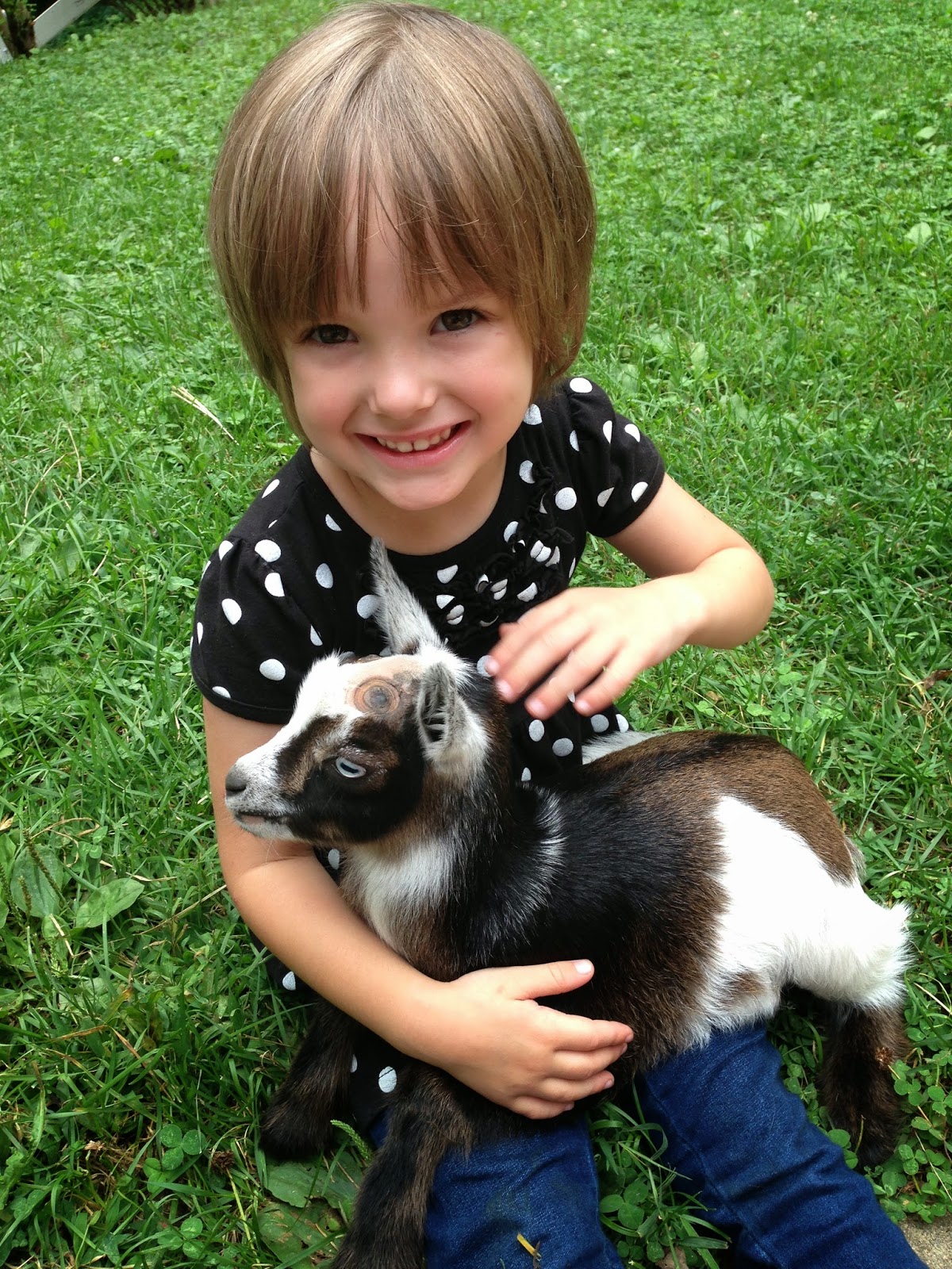 The Evans' Journey Sausage Party & Goats!