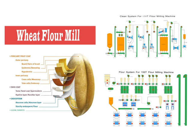 The Principle And Structure Of Wheat Flour Milling Machinery | My XXX