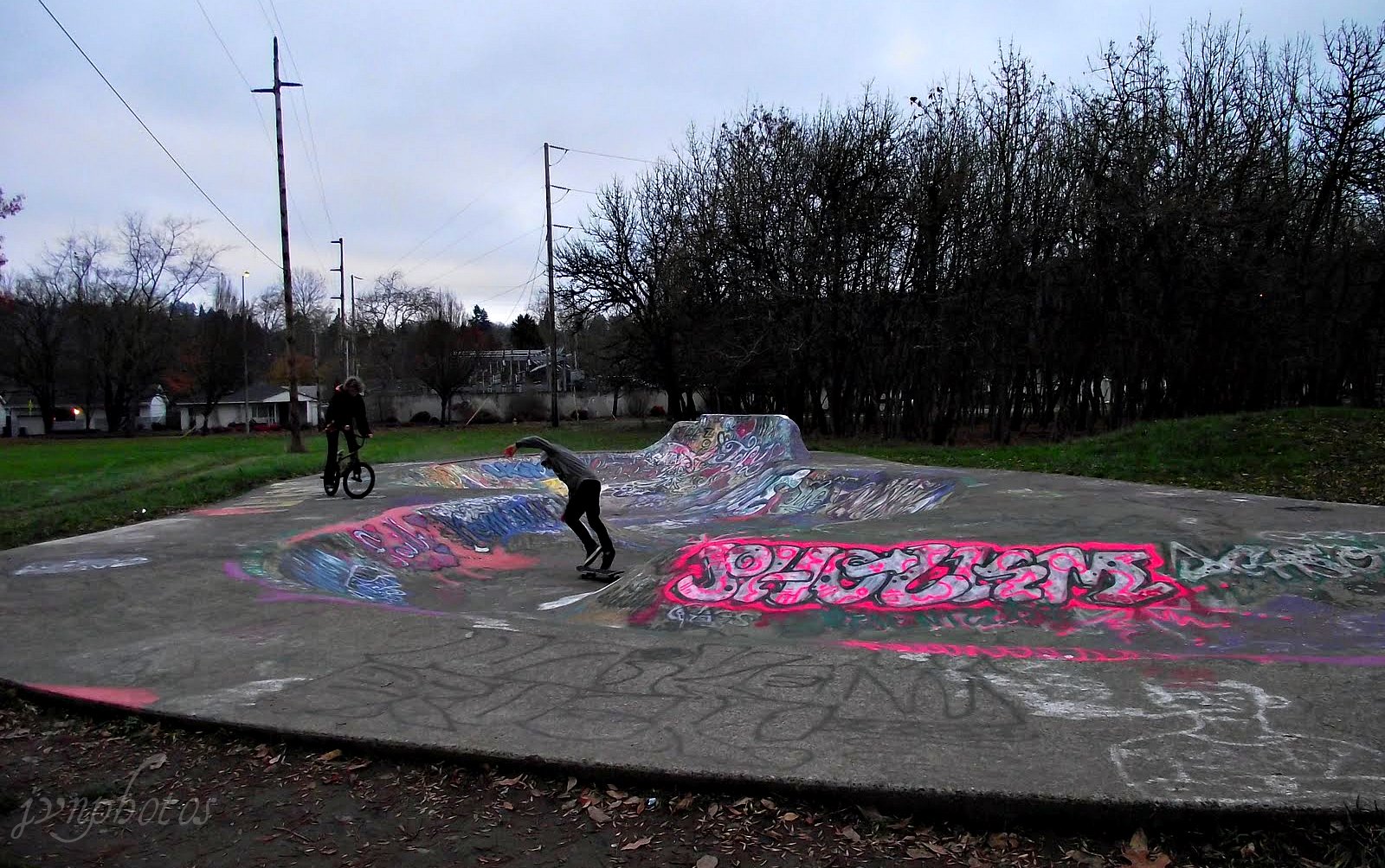 Photos by Jan Amazon Park Eugene , Oregon