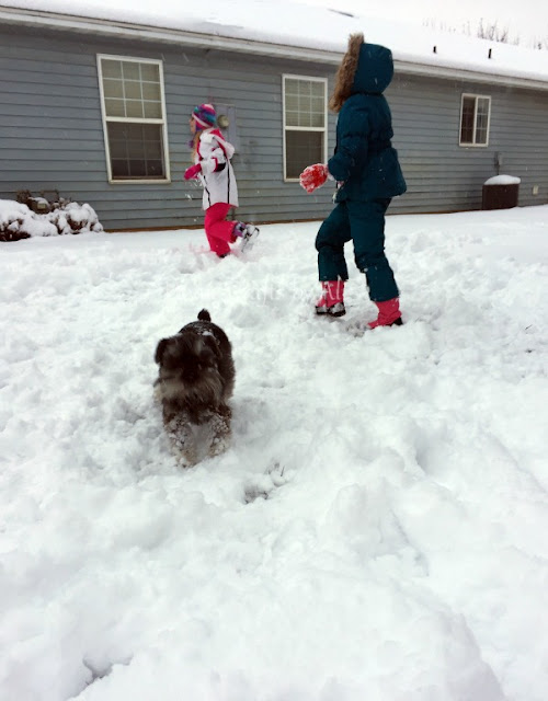winter snow photographs utah nature family fun dog
