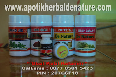 Obat Kutil Kelamin Kondiloma Herbal Ampuh