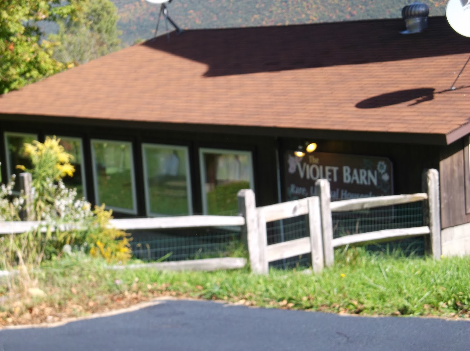 New York State of Mind THE VIOLET BARN, NAPLES, NEW YORK