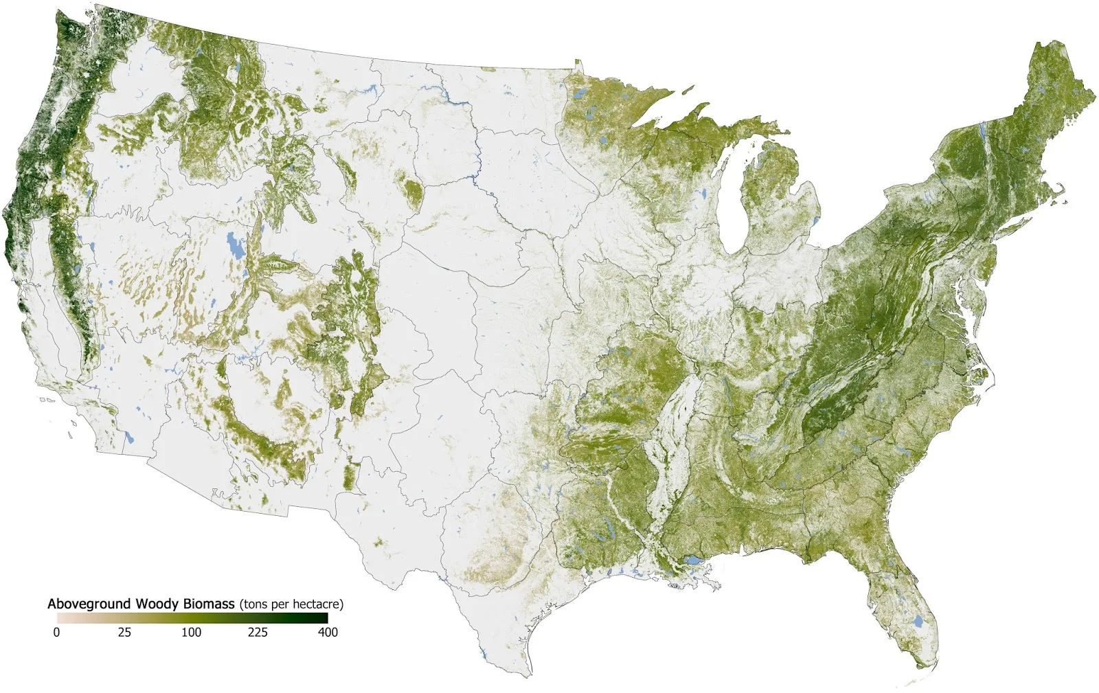 Forested Area in the U.S.