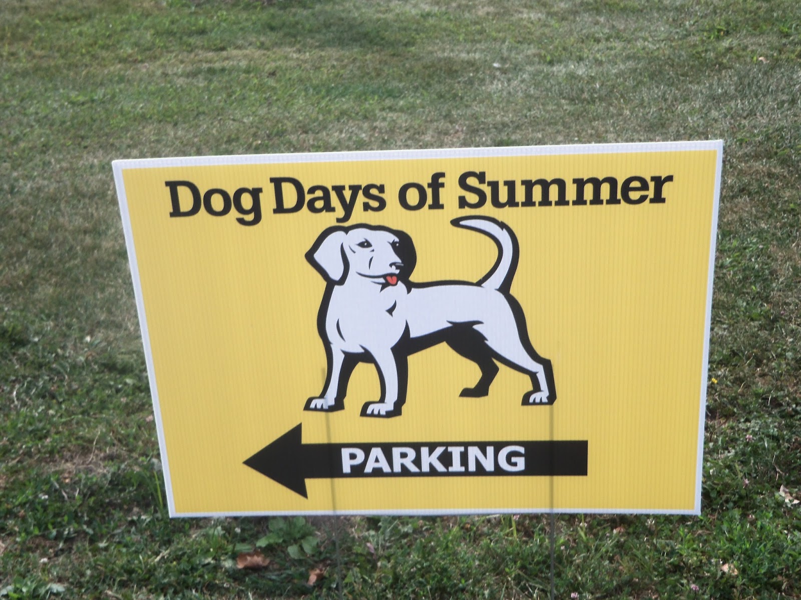 clip art dog days of summer - photo #41