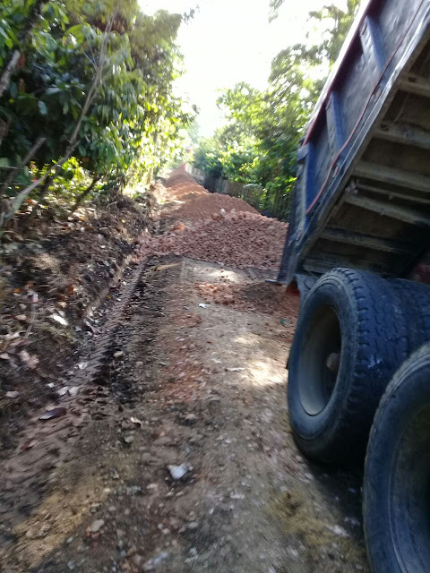 AYUNTAMIENTO INICIA ARREGLO DEL CAMINO LAS CAOBA AYUNTAMIENTO INICIA ARREGLO DEL CAMINO LAS CAOBA