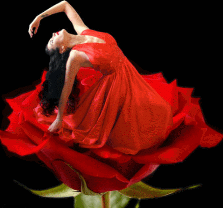 Artistic Sim Cards Iphone 11 Landscape Collection