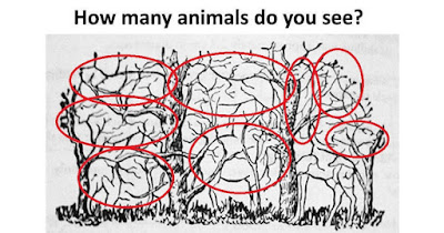 Hidden Animals Picture Puzzle Answer