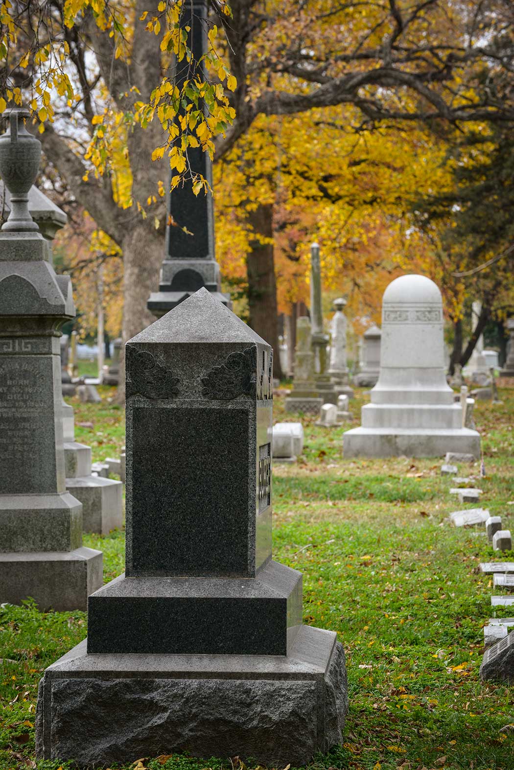 Hyperblogal Jacob Loose