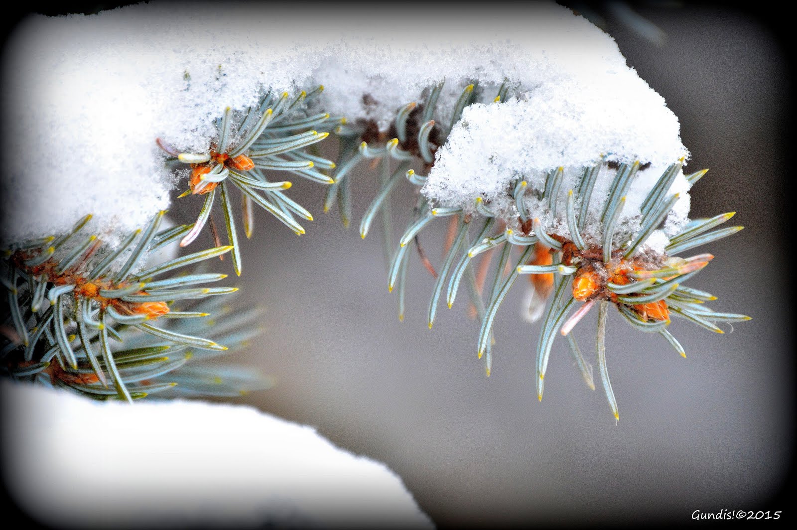 Sognare Sognare La Neve Significato E Interpretazione