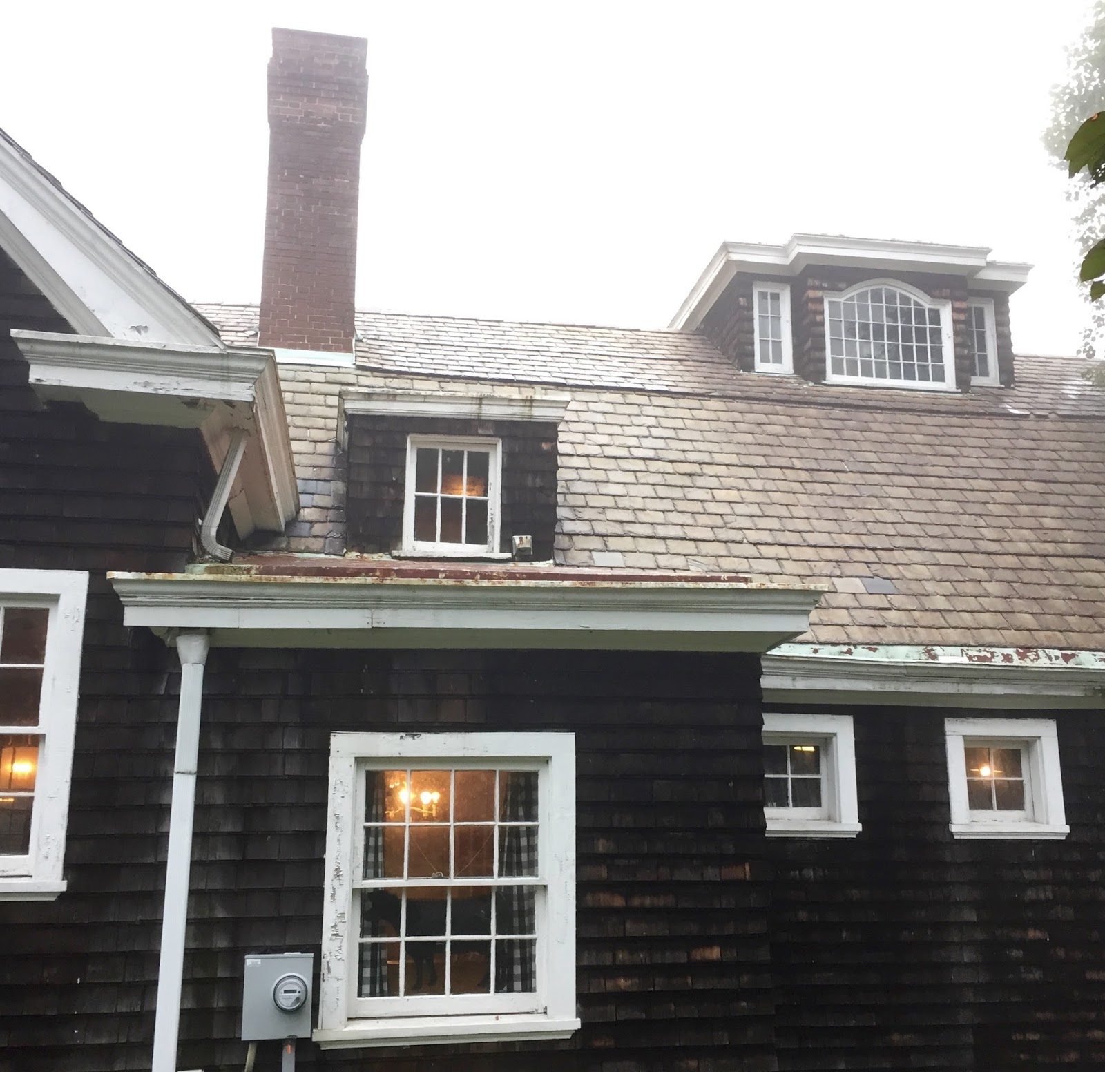 Wren House Yarns Yarn Along..