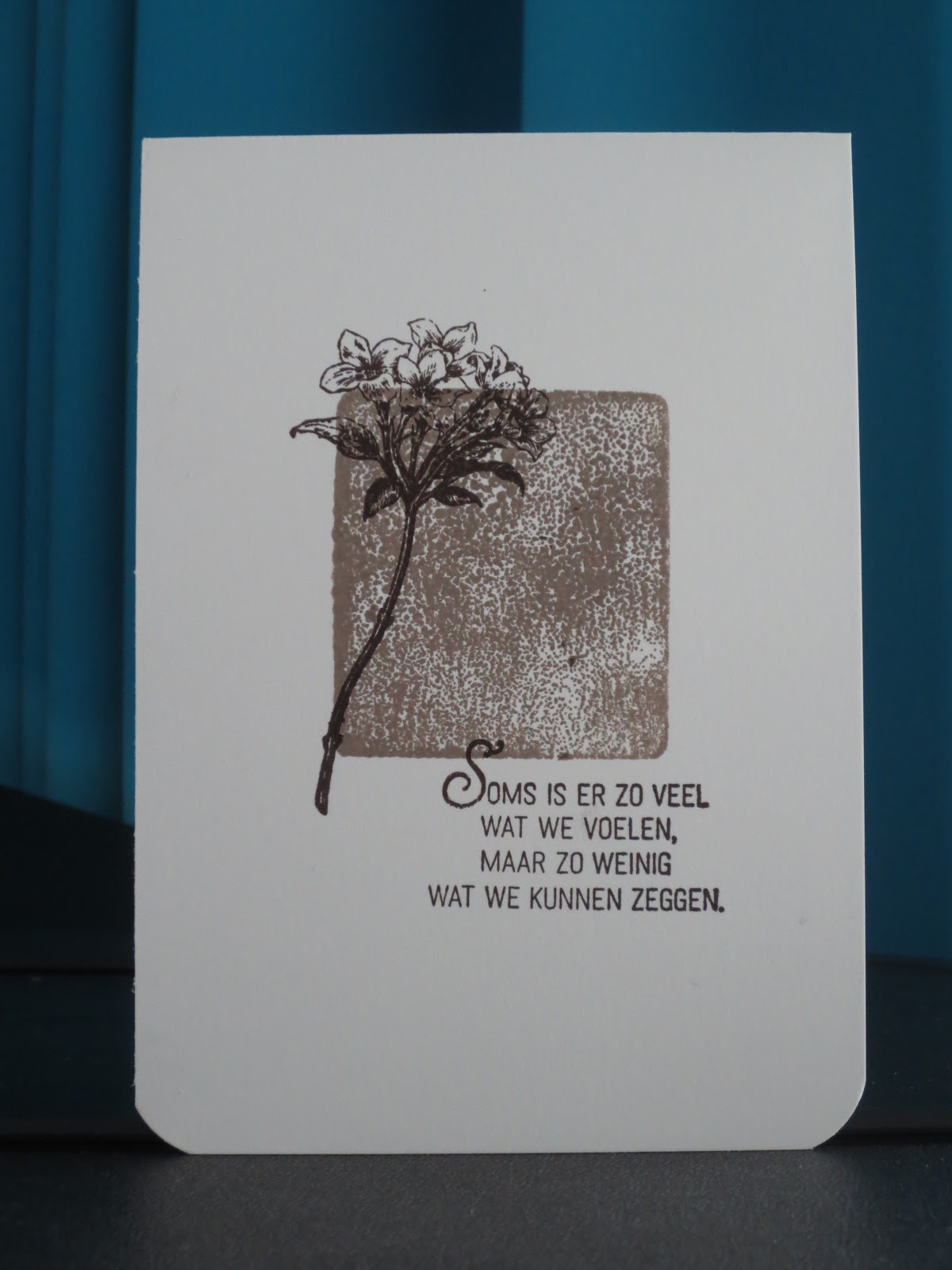 Stampinggranny Ankie Soms is er zoveel